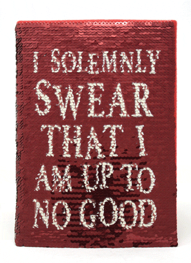 Carnet de notes à paillettes Harry Potter Mischeif Managed - Rouge