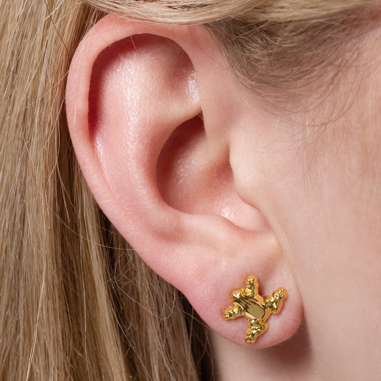 Harry Potter  Chocolate Frog and Box Stud Earrings - Silver