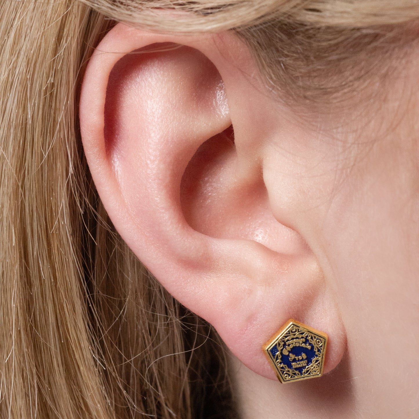 Harry Potter  Chocolate Frog and Box Stud Earrings - Silver