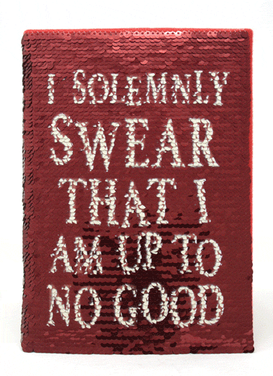 Harry Potter Mischeif Managed Sequin Flip Notebook - Red
